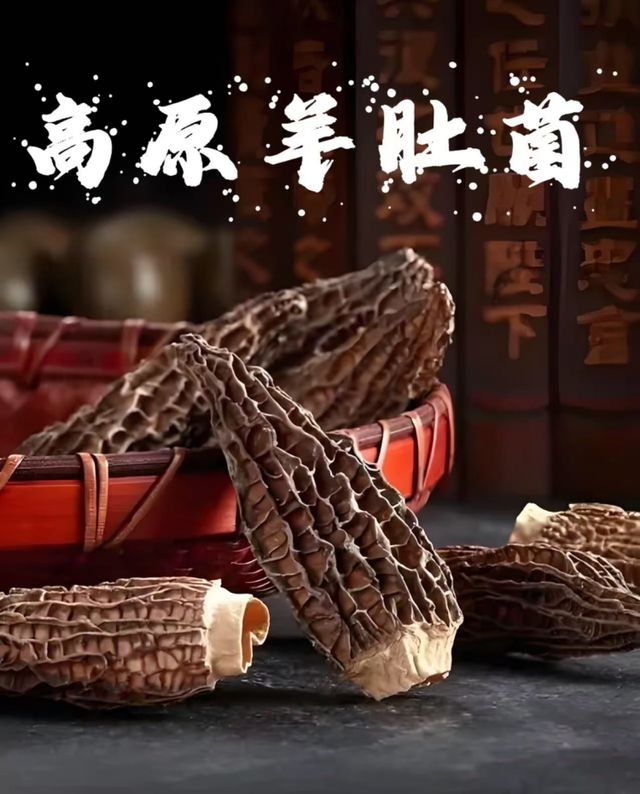 有“山珍”之称的木耳年末最后一场“品牌美好市集”等你来龙8国际电子游戏娱乐平台枫泾新鲜蔬果、青海八宝茶、还(图6)