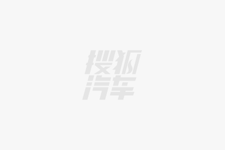 SUV选购指南：最具性价比车型推荐龙8中国唯一入口30万以内纯电家用(图2)