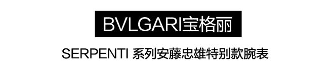 表圈竟然也这么绿！一片绿绿绿绿绿~(图6)